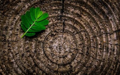 Chapter 3 – Are You an Adult? Contd…