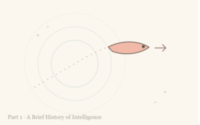 Why Do We Have Brains?